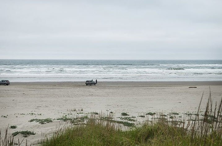 Pacific Pines State Park, Washington, USA